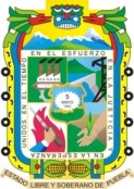 Alta SIDEA Puebla